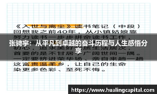 芒果体育官网入口